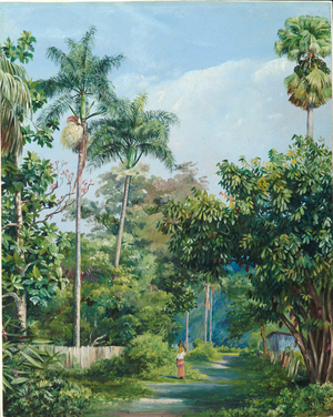 Road near Bath, Jamaica, with cabbage palms, bread fruit, cocoa, and coral trees, 1872 (oil on board)