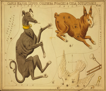 Canis Major, Lepus, Columba Noachi & Cela Sculptoris, Illustration from 'Urania's Mirror', 1825 (etching)