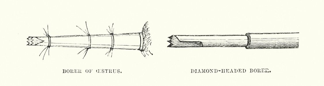 Human invention anticipated: The diamond drill (engraving)