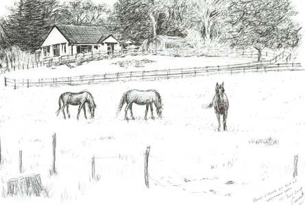 Horses at top of lane, 2008 (ink on paper)