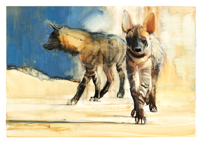 Striped Hyaenas, 2010 (oil on paper)
