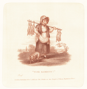 "Fine Rabbits!" (engraving)
