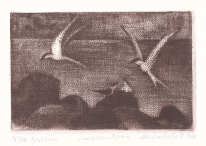 Terns (Sterna), 1987 (mezzotint)