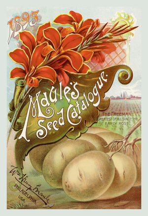 Maule's Seed Catalogue, 1893, Seeds - catalog Advertising