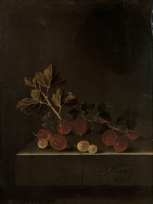 A Sprig of Gooseberries on a Stone Plinth, 1699 (oil on panel)

