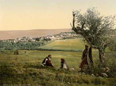 General view, Cana of Galilee, Holy Land, c.1890-1900 (photochrom print)