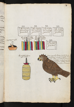 Tribute from the Province of Atlan . Codex Mendoza, 1541-1650 (pictorial manuscript)