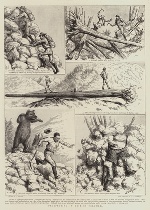 Prospecting in British Columbia (engraving)