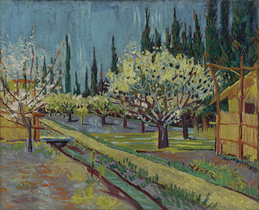 Orchard Bordered by Cypresses, 1888 (oil on canvas)