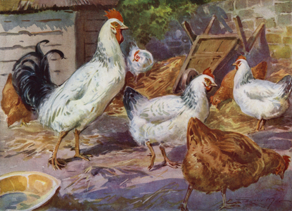 Illustration for My Farm (colour litho)