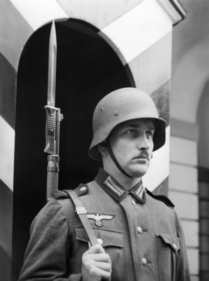 Guardsman with gun (b/w photo)