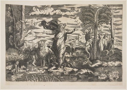 God Creating the Animals, c.1550 (engraving)