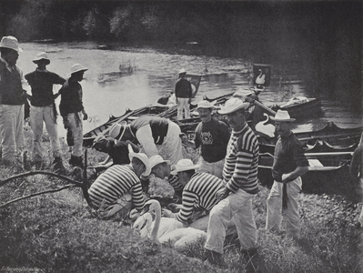 Swan upping on the Thames, "Nicking" or Marking (b/w photo)