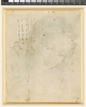 The head of Leda, verso, c.1505-8 (black chalk, pen & ink on paper)
