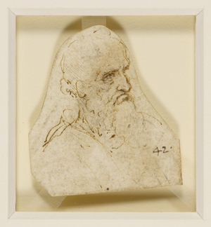 The head of an old bearded man, c.1495 (pen & ink on paper)