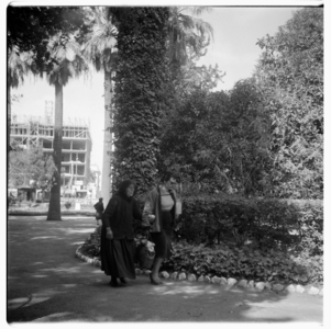 Greece, images of Athens and wider Greece, early 1950's (b/w photo)