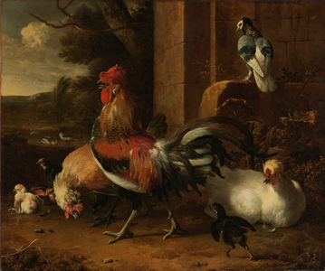A Poultry Yard, c.1660-1665 (oil on canvas)