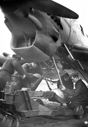 III Reich - German Air Force, 1939 (photo)
