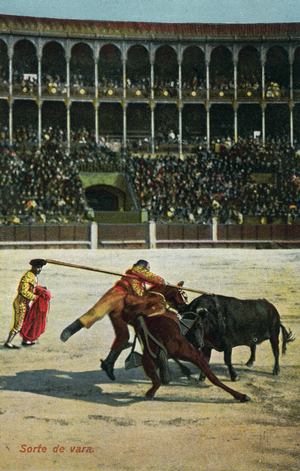 Bull-fighting (colour photo)