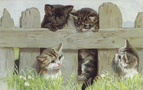 Four kittens by a fence (chromolitho)