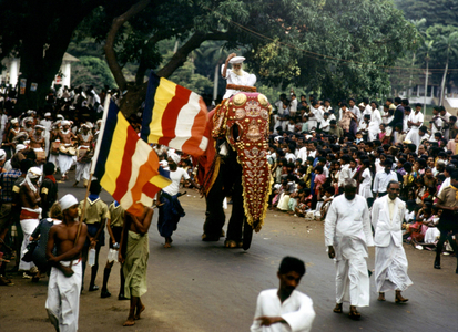 Procession with an elephant during the famous Perahera festivities,..., 1970 (photo)