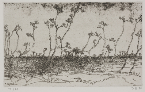 Landscapes - Light Forest, 1970 (etching)