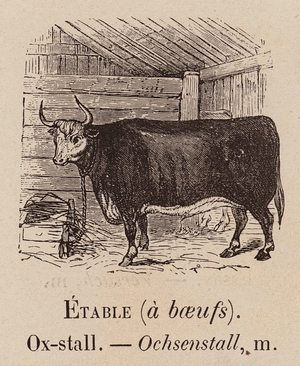 Le Vocabulaire Illustre: Etable (a boeufs); Ox-stall; Ochsenstall (engraving)