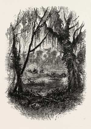 Emigrants in Georgia,USA, 1870s Engraving