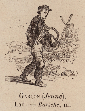 Le Vocabulaire Illustre: Garcon (Jeune); Lad; Bursche (engraving)