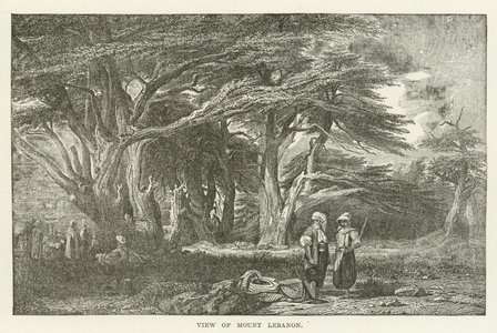 View of Mount Lebanon (engraving)
