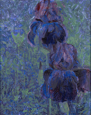 Small irises, 2013 (oil on gesso)