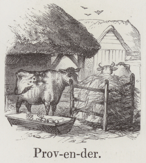 Provender (engraving)