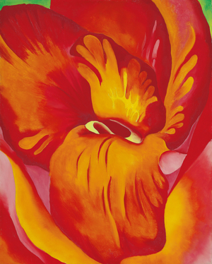 Canna Red and Orange, 1926 (oil on canvas)