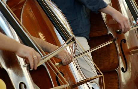 Double bass section