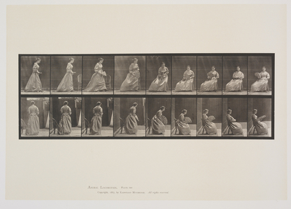Plate 240 from Animal Locomotion, 1887 (collotype on paper) 
