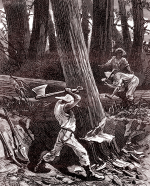 Natives working in the rubber forest in Brazil, 1893