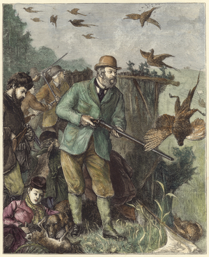 The Duke in a warm corner (coloured engraving)