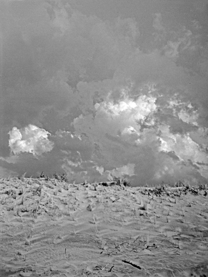 Dunes at the beach of the Baltic Sea, East Prussia, 1930s (b/w photo)