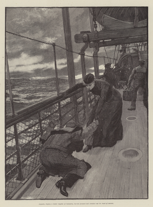 Mr Meeson's Will, by H Rider Haggard (engraving)