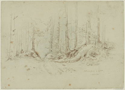 Trees in the Rabener Grund wood, 1842 (pen and brown ink over graphite)