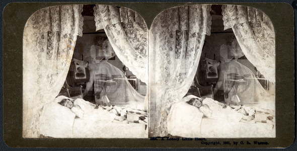 A lonely little heart, 1901 (stereograph)