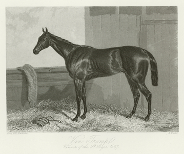 Van Tromp, foaled 1844 (b/w photo)