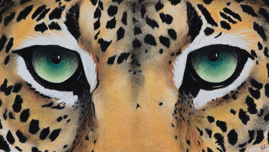 Small leopard Eyes, 2018 (pastel and charcoal on paper)