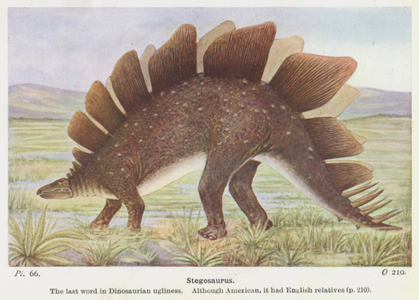 Stegosaurus (colour litho)