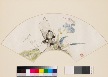 Lily, rock, and dragonfly, 19th century