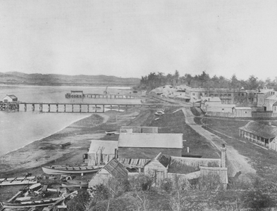 New Zealand, 1890s: Tauranga (b/w photo)
