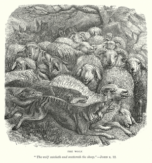 The Wolf (engraving)