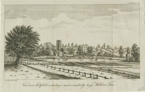 Lichfield - ['Dr. Johnson's'] Willow Tree : copper-plate engraving, 1785 (print)
