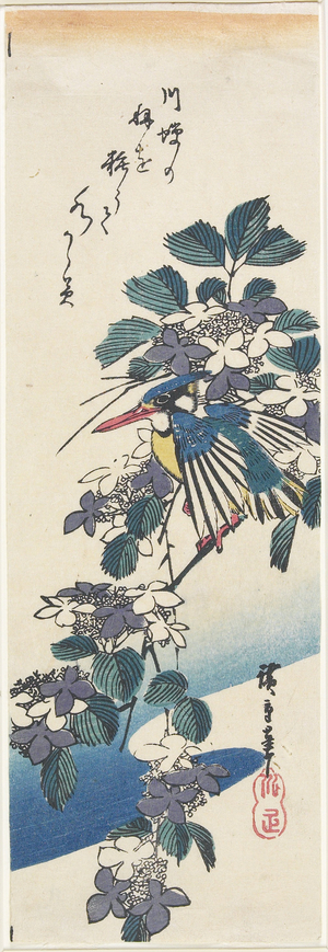 (Kingfisher and Hydrangea)