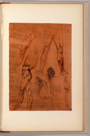 A page from 'Quaderni d'Anatomia, I-VI, 1911-16 (colour lithograph)